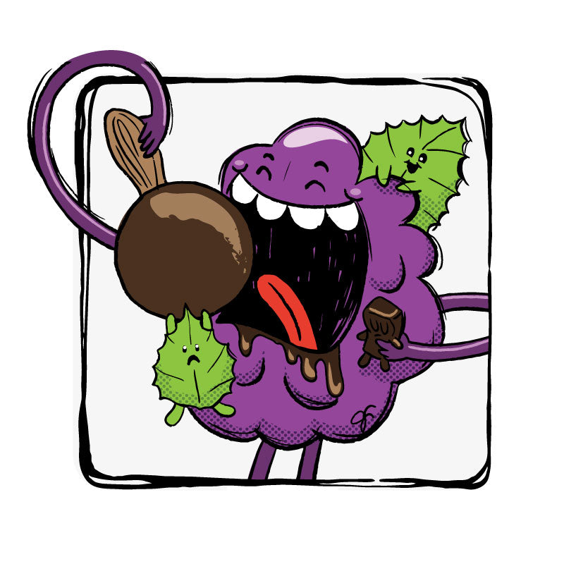 Black Raspberry Julie Bar